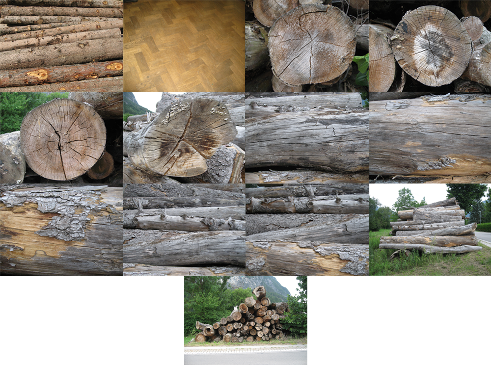 Holz